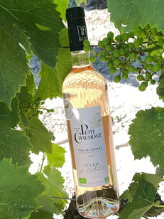 Domaine du Petit Chaumont • Le gris de Nathalie 2024 • gris de gris • vin des sables bio (®petit chaumont)